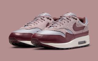 Burgundy Crushes Nike's Latest Air Max 1 Premium