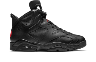 Air Jordan 6 "Bin23"