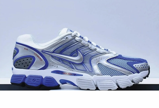Nike Air Vomero 2006