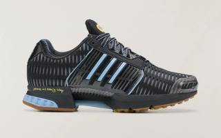 Always Do What You Should Do x adidas Climacool 1 "Blue"