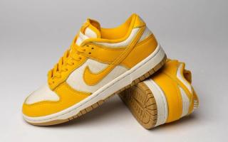 nike dunk low canvas yellow gum 1