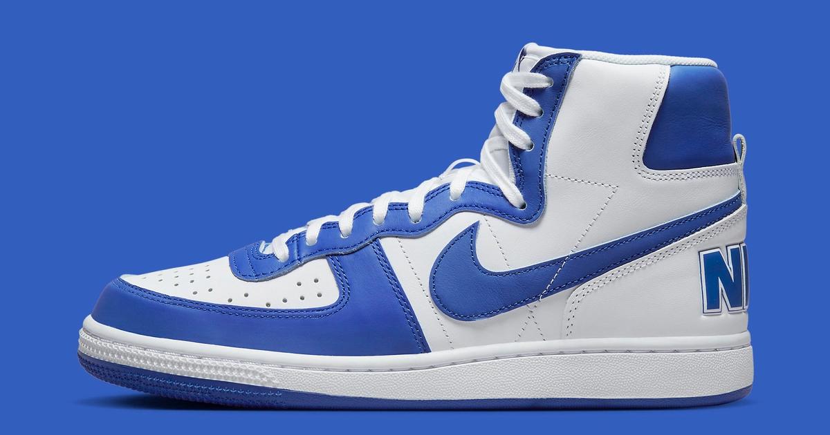 The Nike Terminator High 
