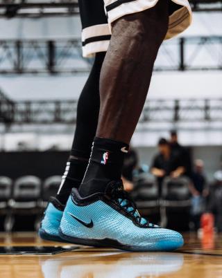 LeBron James Wearing the Nike LeBron 24 in a Blue Color Scheme. Photo via LeBron James.