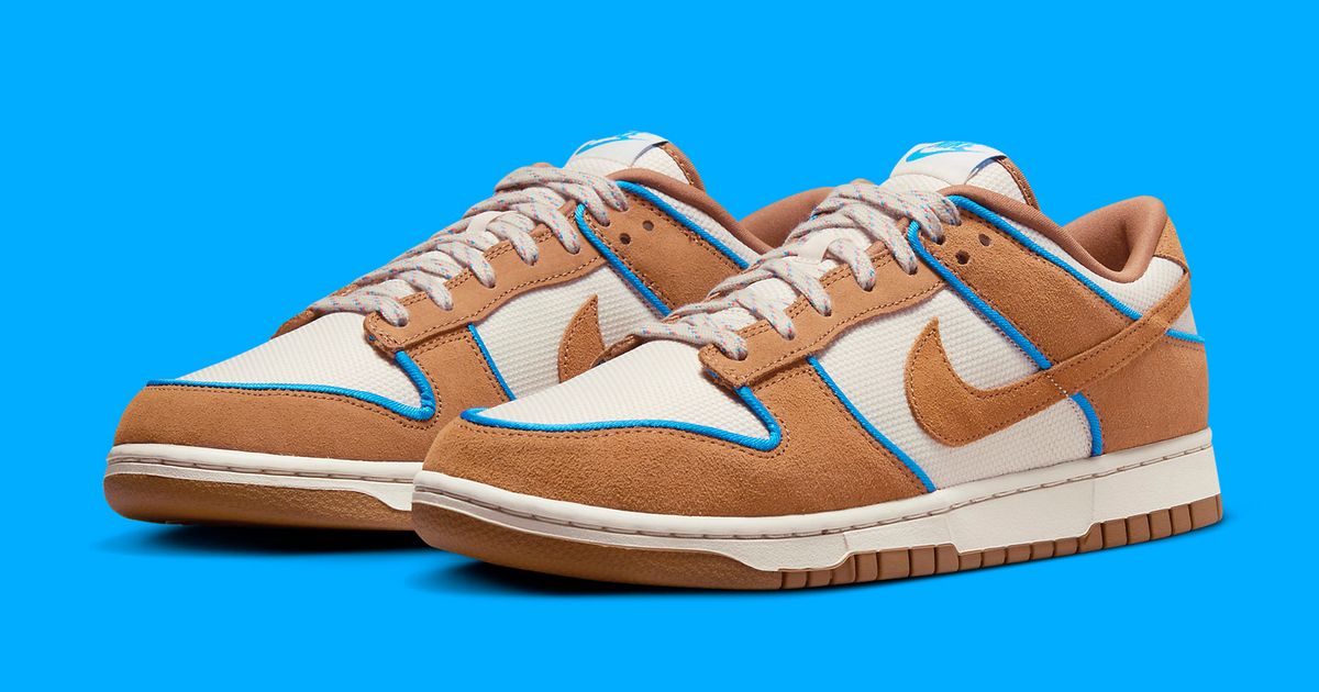The Nike Dunk Low 