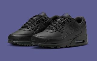 Nike Air Max 90 "Dark Smoke Grey/Sanded Purple"