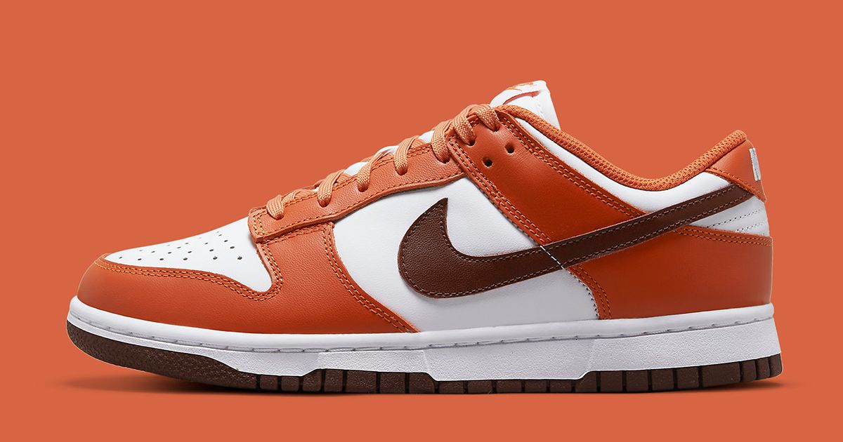 The Nike Dunk Low “Bronze Eclipse” Drops Nov. 24 | House of Heat°