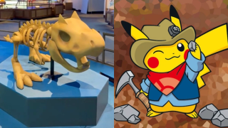 Pokémon Fossil Museum Heads to North America