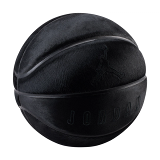 Air Jordan "Black Cat" Basketball