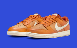 'Monarch' and 'Dark Russet' Hues Appear on the Nike Dunk Low