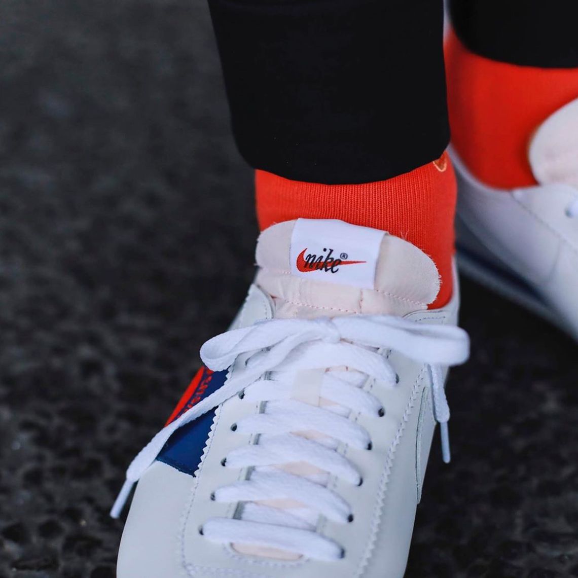 nike cortez dog pack