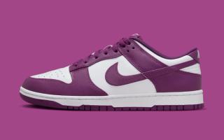 First Looks // Nike Dunk Low "Viotech"