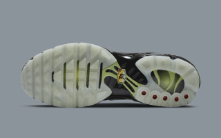 Nike Air Max Plus "Spider Web" (SKU: DD4004-001). Photo via Nike.