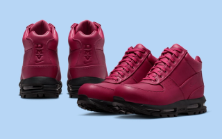 Nike Air Max Goadome inspired by the DMV, complete with cherry blossom graphics on the insoles.