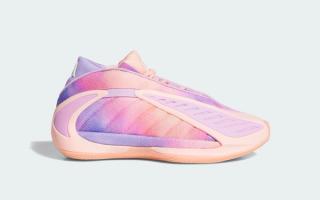 Kids' adidas Anthony Edwards 2 "Tie-Dye" in a "Haze Coral/Bliss Lilac/Zero Metallic" color scheme.