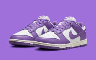 Official Images // Nike Next Nature Dunk Low "Black Raspberry"