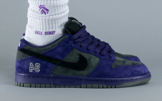 Supreme x Nike SB "Ink"