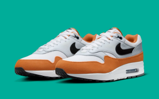 Where to Buy the Nike Air Max 1 "Monarch"