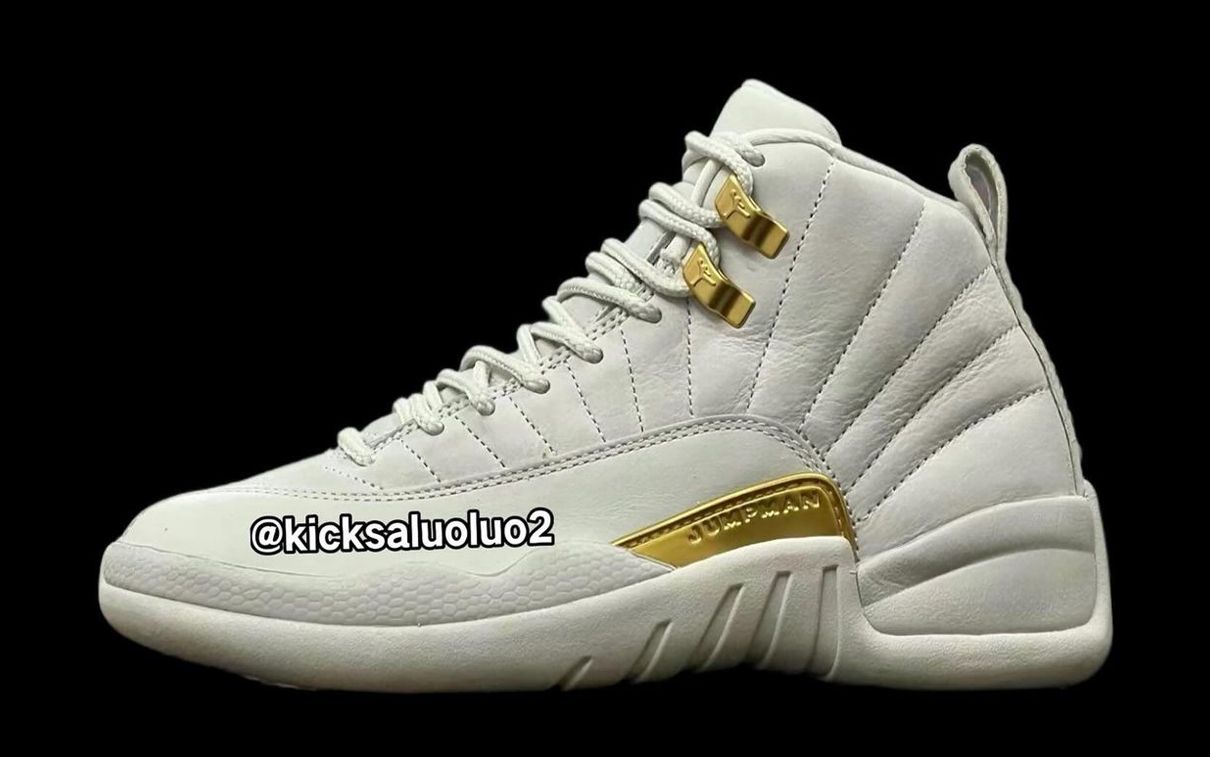 Jordan 12 platinum fashion