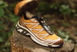 End and Salomon Continue Their Partnership With XT-6 "Porcini" Release