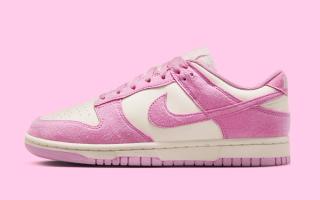 Nike Dunk Low Next Nature "Sail/Pink" Brings Subtle Charm for Summer 2025