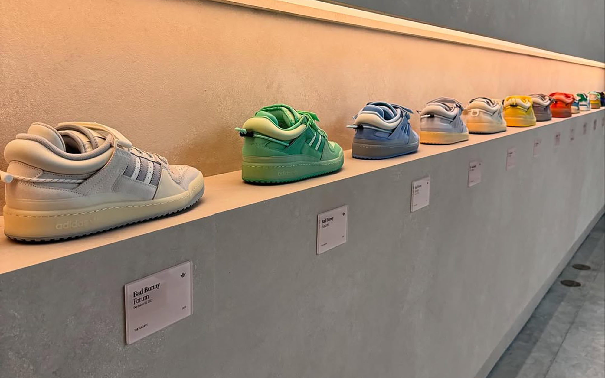 bad bunny adidas retail