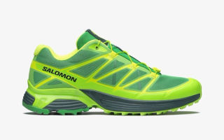 Grateful Dead x Oregon Ducks x Nike Air Max 90 Grateful Ducks covered in green tones.