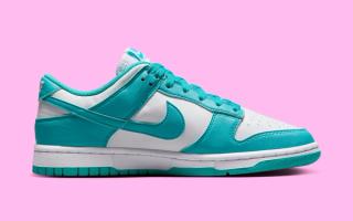 nike version dunk low next nature dusty cactus dd1873 105 3