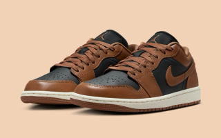 The Jordan 1 Low "Archaeo Brown" Is Releasing This Fall