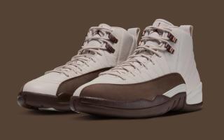 Air Jordan 12 “Fireside” Retro.