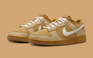 Where to Buy the Nike Dunk Low "Waffle"