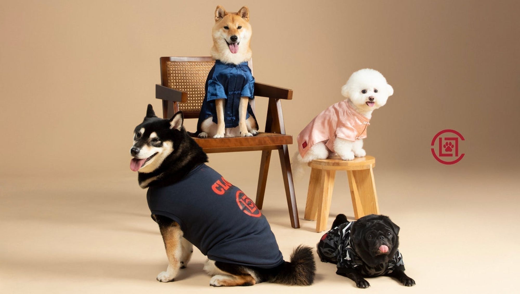Pets modeling CLOT's Silk Royale debut collection for cats and dogs.