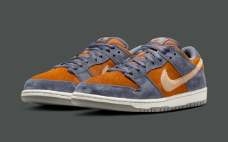 Official Images // Nike SB Dunk Low "Light Carbon"