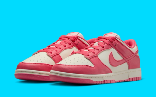 Nike tour story Its Dunk Low Barrage with the Next Nature "Aster Pink"