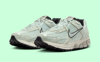 Official Images // Women's Nike Zoom Vomero 5 "Light Bone"