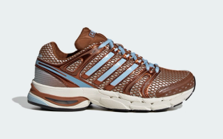 Women's adidas AdiStar Control 5 "Dusky Bronze" (SKU: KI4176).