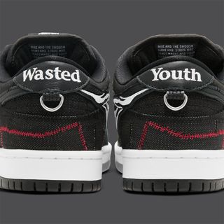 wasted youth nike sb dunk low DD8386 001 release date 8