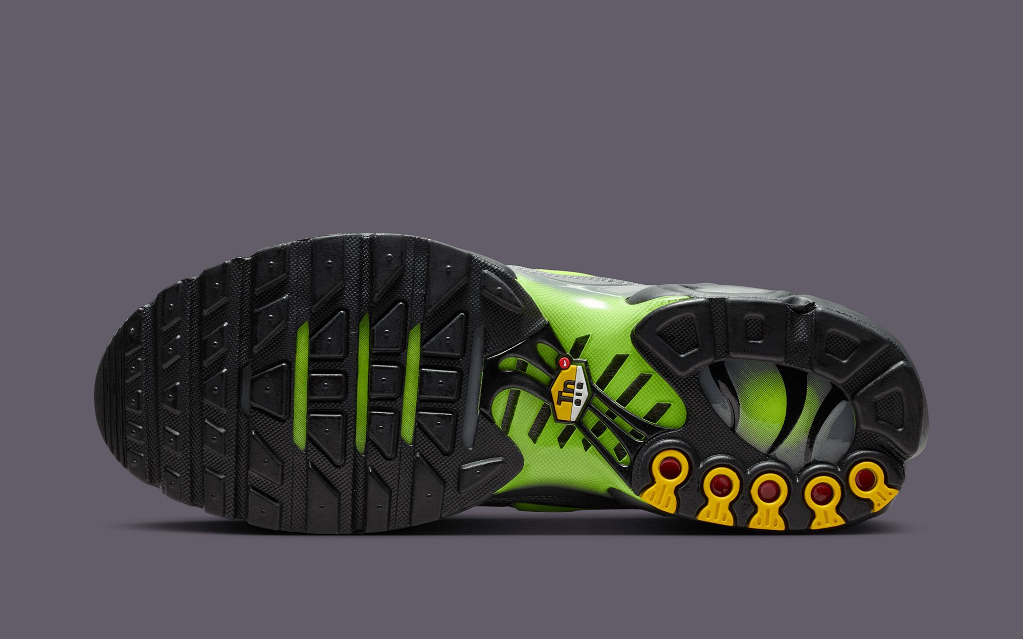 The Nike Air Max Plus Gets a Sharp Seasonal Update in 