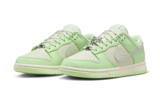 nike Downshifter dunk low next nature sea glass fn6344 001 1