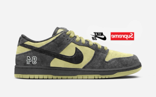 Supreme x Nike SB Dunk Low "Camper Green"