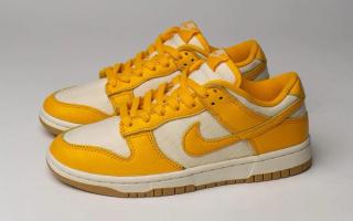 nike dunk low canvas yellow gum 2