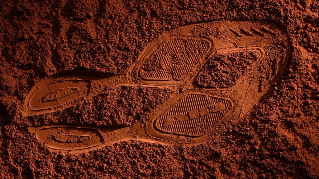 Nike AlphaFly Next% running shoe, upcoming fourth-generation update in performance marathon platform