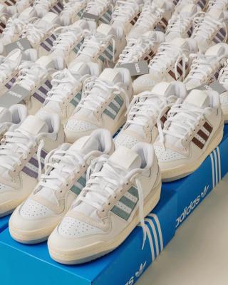 Packer x Adidas Forum Low Pack
