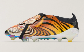 Men's adidas Y-3 Predator Elite FT FG "Tiger" (SKU: KK4189). Photo via adidas.