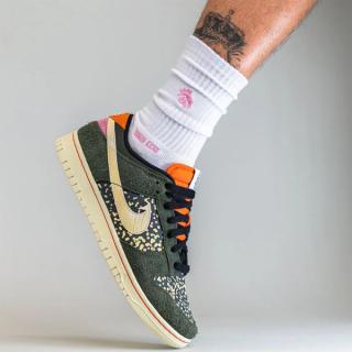 nike dunk low rainbow trout fn7523 300 release date 3