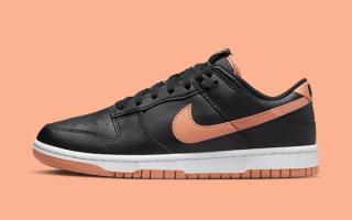 The Nike Dunk Low is Available Now in "Black" and "Amber Brown"