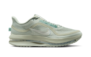 Nike Pegasus Premium “Jade Horizon”