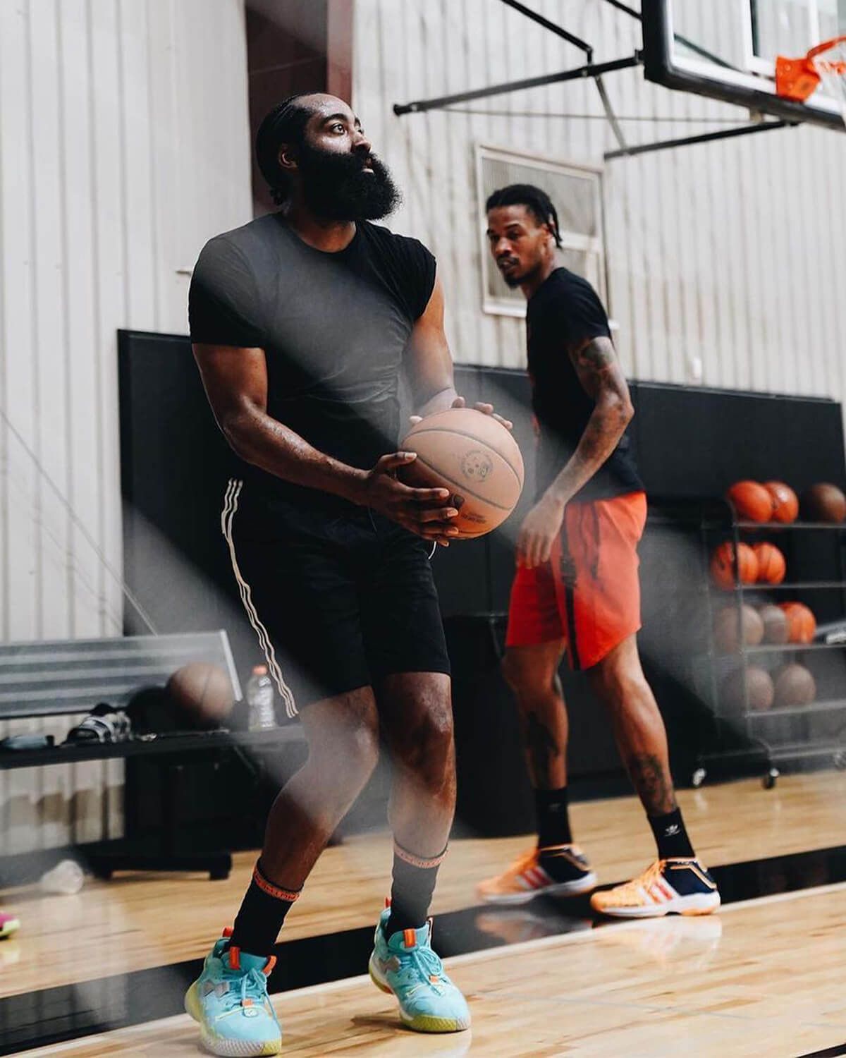 harden vol 6 inside