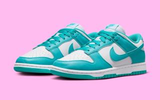 The Nike Dunk Low ultimate Nature "Dusty Cactus" Arrives in April