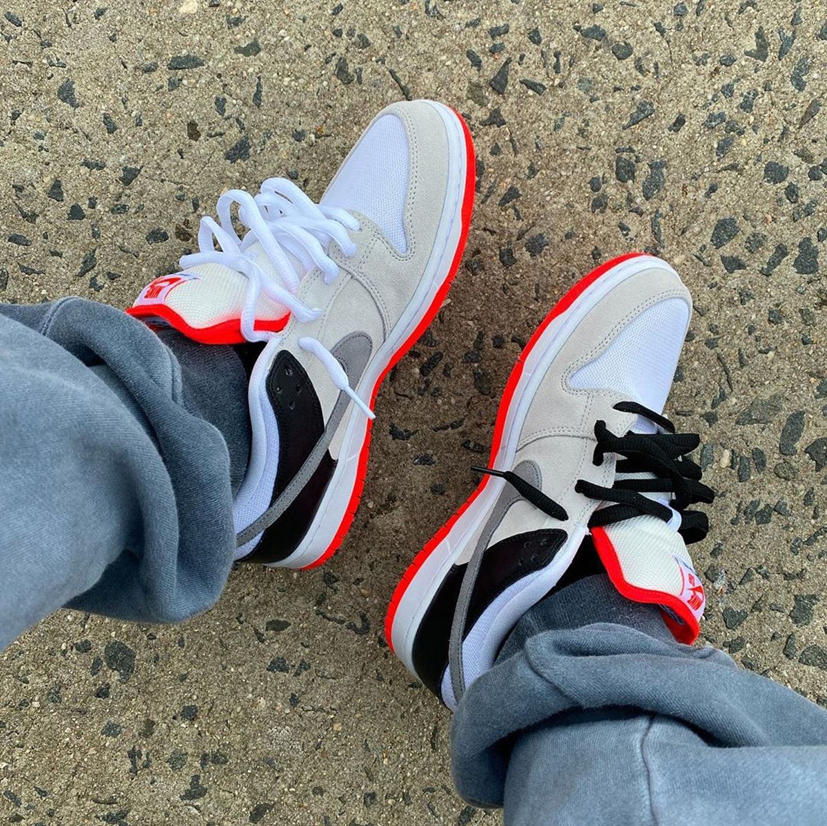 nike dunk sb infrared