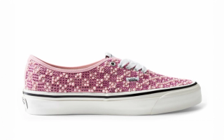 Mattias Gollin x Vans Authentic "Rosetta" project.